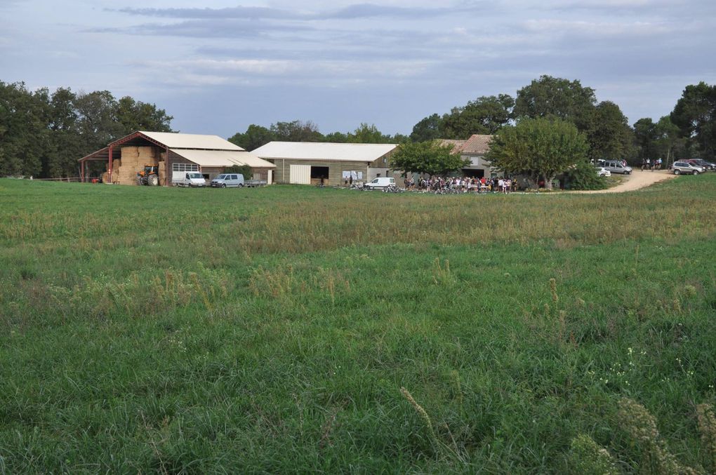 Randonnée de la Gastronomie et du Terroir - Piolenc 21 octobre 2012