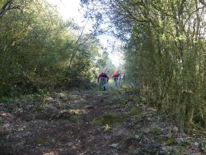 Arques Les Berques 17 Fév 2019