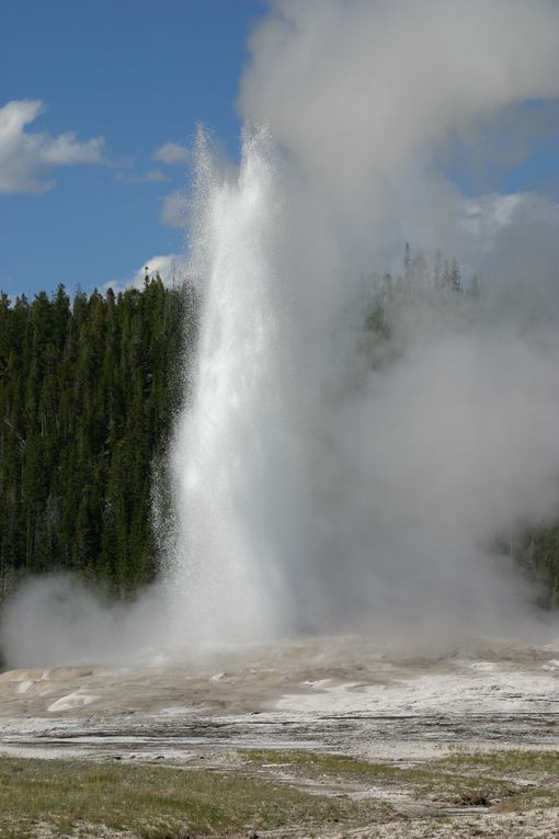 Album - Yellowstone NP, 2004