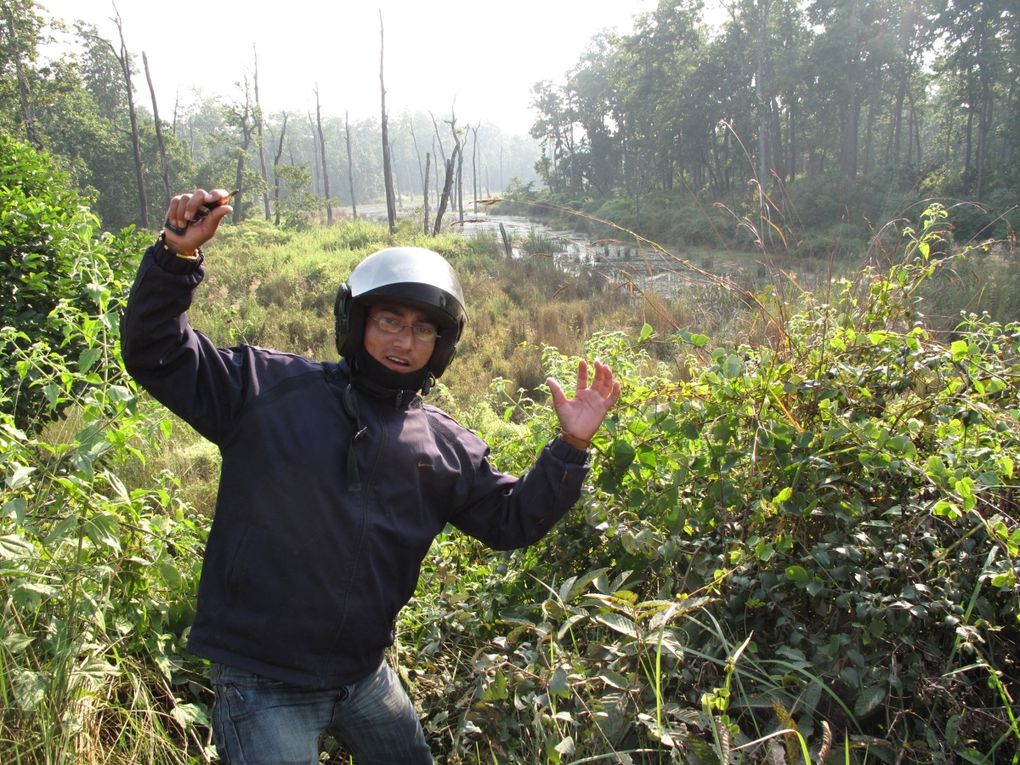 Album - Parc du Chitwan