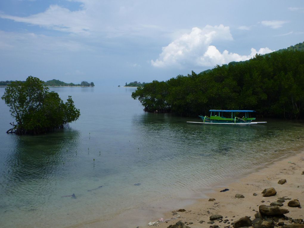 Lombok (Indonésie), décembre 2014