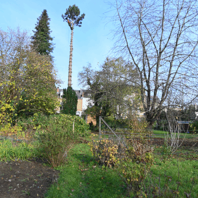 çà sent le sapin ...pour le dernier pin ...dernière partie ,