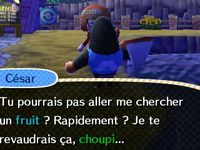 Résumé de la quinzaine (7) :