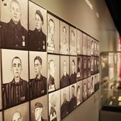 Des personnalités sportives à Auschwitz pour le devoir de mémoire : un documentaire va être diffusé