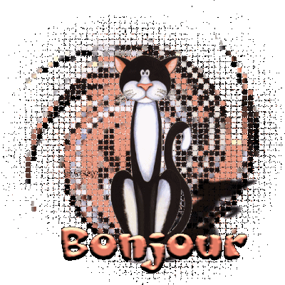 Bonjour - Chat - Gif scintillant - Gratuit