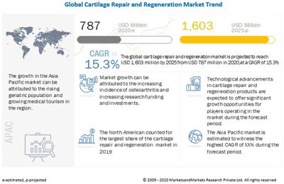 Cartilage Repair Market: Emerging Trends, Major Players and Key Insights