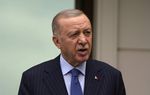 World to face new conflicts if Israel not stopped in Gaza — Erdogan