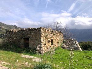 dimanche 17 mars, randonnée entre ZILIA , MURO et CASSANO, passant par Bocca di Foata et Bocca di Muro