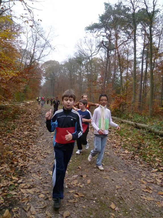 Les CE2, CM1 et CM2 de Brossolette ont participé au cross organisé par l'Office Municipal des Sports en forêt des Essarts