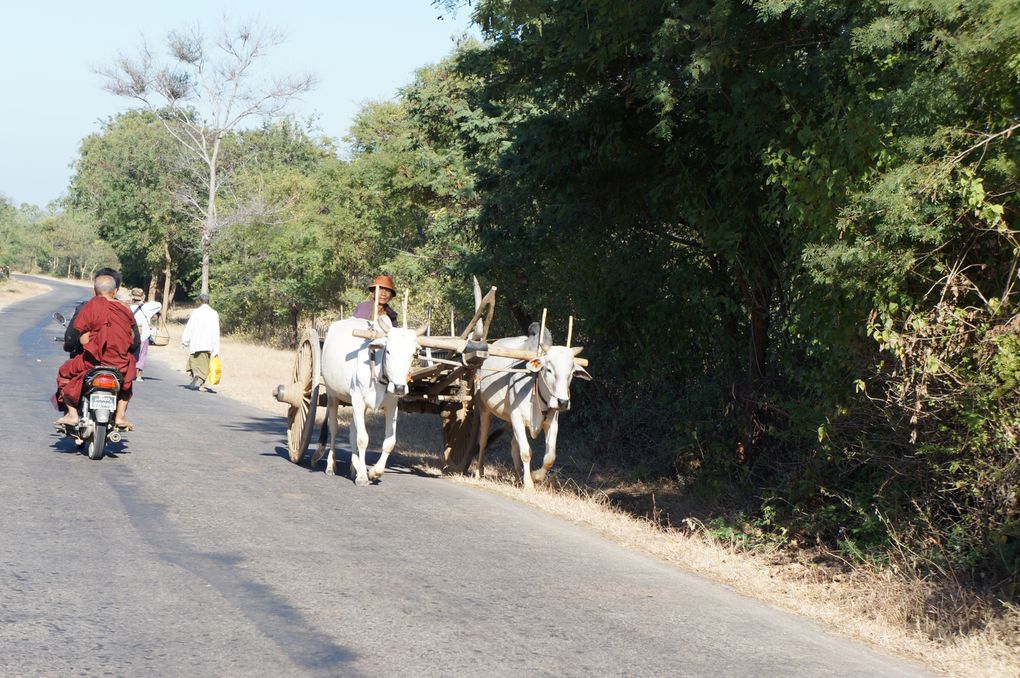 Album - LE MYANMAR