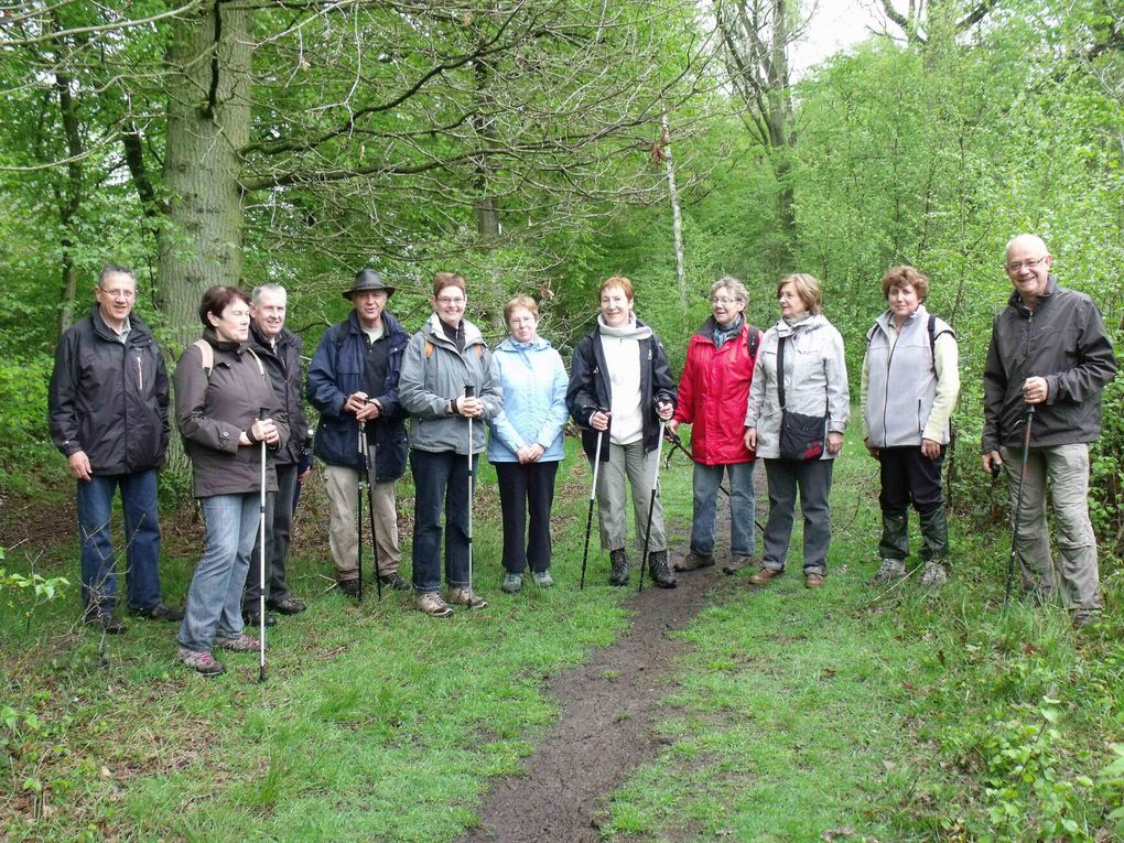 Album - Foret-de-Phalempin---le-3-mai