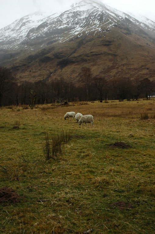 D'Edinbourg à Fort William en passant par Perth et Inverness....