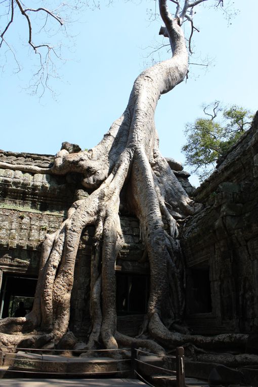 Album - Cambodge