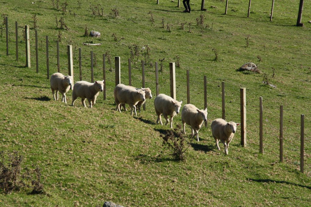 Waiheke Island