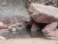 Et bien sûr, au fond du canyon, coule une rivière, the North Fork Virgin River