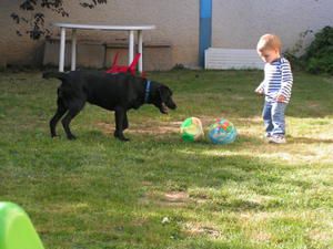 Footballeurs en Herbe