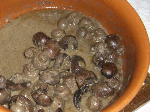 Rognons de boeuf au vin rouge