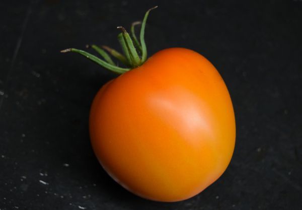 Tomate orange aux quatre moineaux