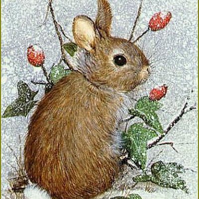 lapins, lièvres en peinture et illustrations -   Jilly Henderson