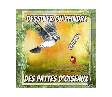 Dessin et peinture - vidéo 3816 : Comment dessiner ou peindre des pattes d'oiseaux ? - crayons.