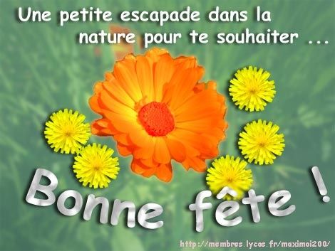 Bonne Fete A Toutes Les Sandrine Le Blog De Edhelssnail