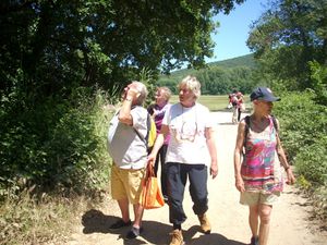 La Vallée de la Mole a fêté la nature