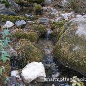 Nacimiento del Guadalquivir, Source, Cazorla, la Sierra et le renard