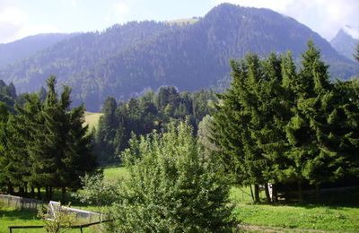 VUE depuis le chalet - fin