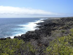 L'océan est magnifique, mais plutôt agité