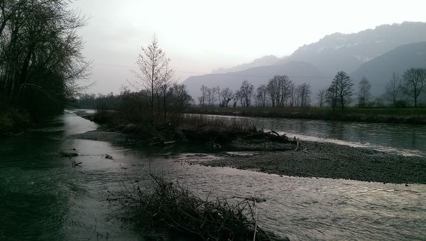 Petit bras tranquille de l'Isère