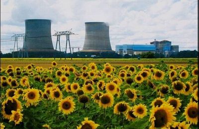 ÉNERGIE : LA SUÈDE SE REMET AU NUCLÉAIRE !