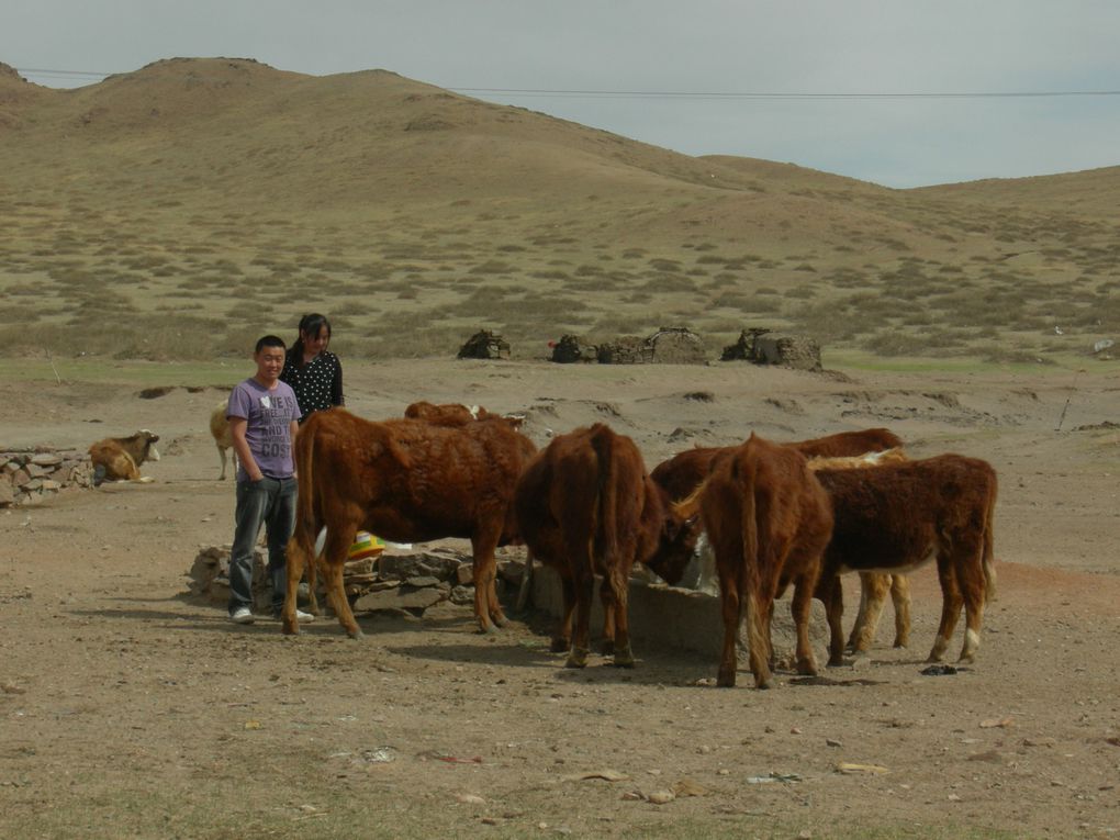 Nord-ouest du Hebei et Mongolie intérieure, mai 2013.
Mongolie intérieure et Mandchourie, été 2010