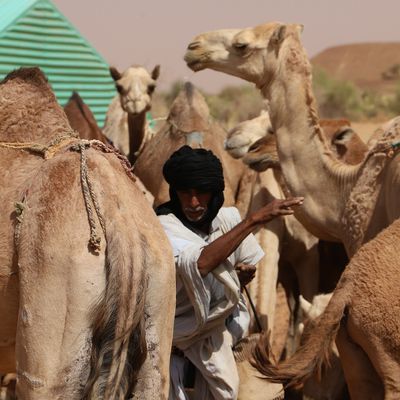 Prévention et gestion des conflits liés aux ressources naturelles : la prévention et la médiation, plutôt que les juridictions, dans les règlements des litiges