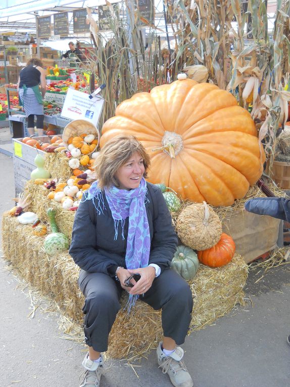 Jean Talon