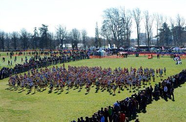 Entraînement hivernal : cross-country