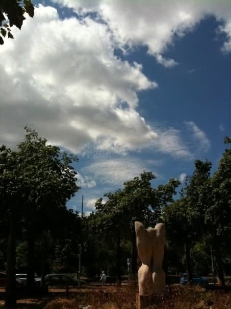 Il telamonio e le nuvole (foto di Maurizio Crispi)