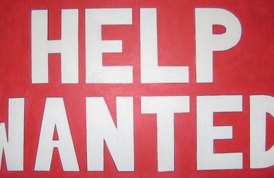 Help wanted !