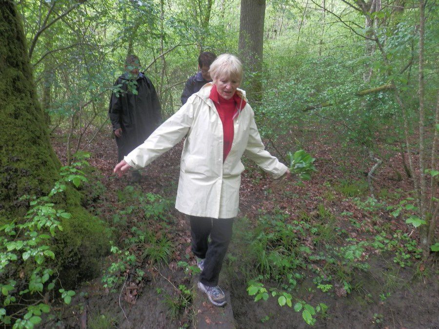 Le 1er Mai dans la forêt de Malvoisine