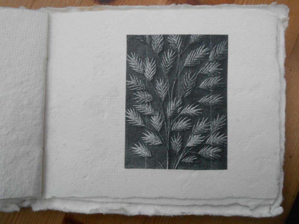 livre en papier de chanvre "le temps qui passe" avec des impressions de Karl Blossfeld