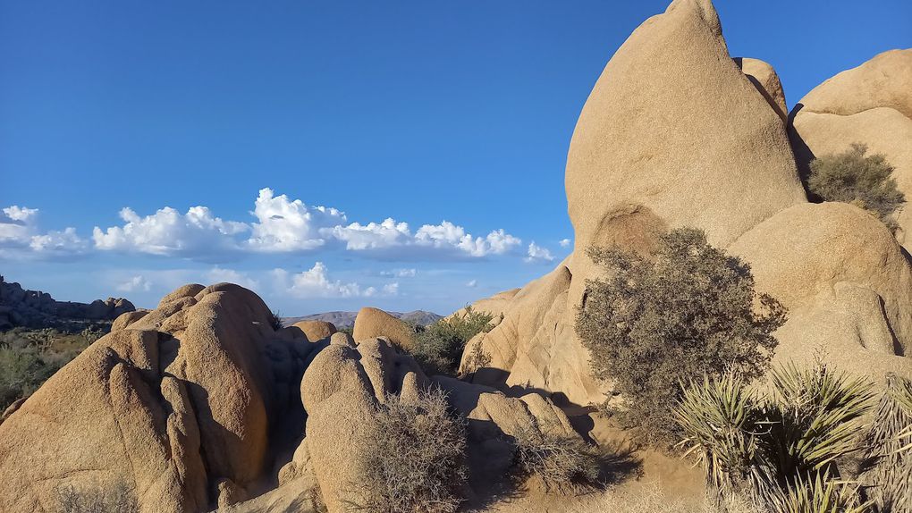 Quelques photos de ce site étonnant.