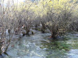 Sichuan Nord - Jiuzhaigou