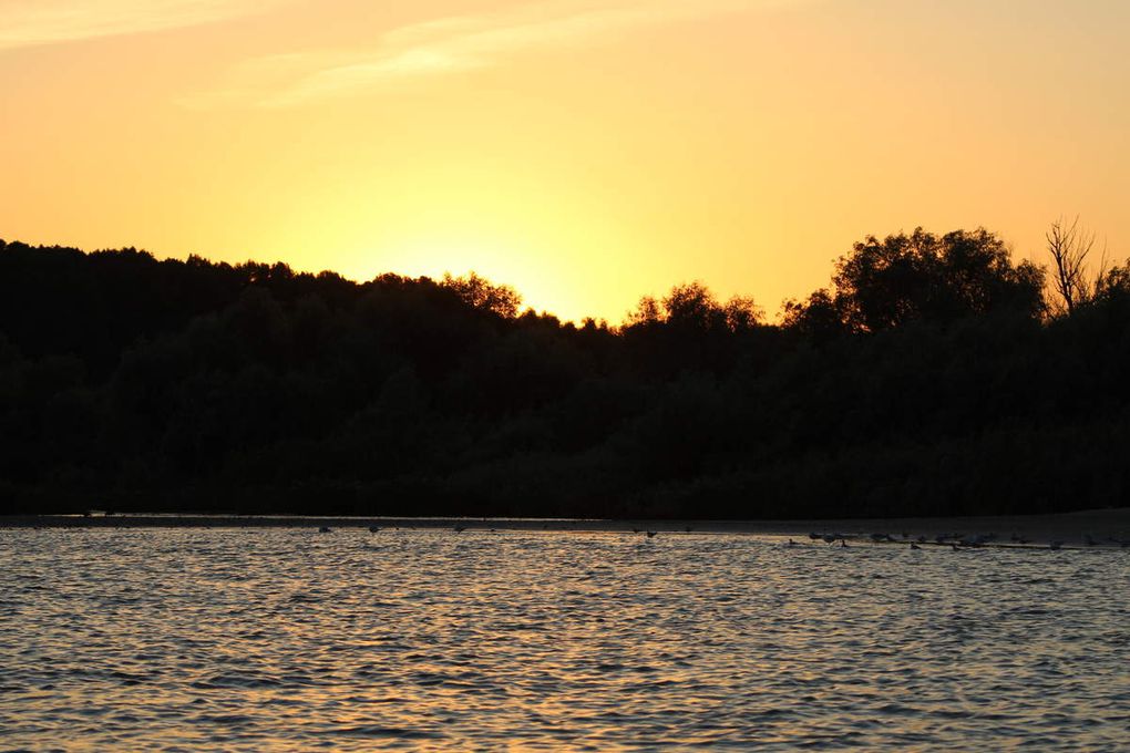 Voyage été 2018 - Roumanie - 3 - Le Delta du danube