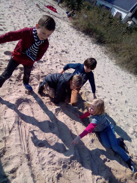 Rituel de veille de vacances: sports collectifs à la plage, châteaux de sable, land art ...