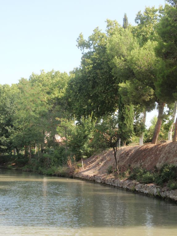 Album - Promenade Canal du Midi 21 Août 2011