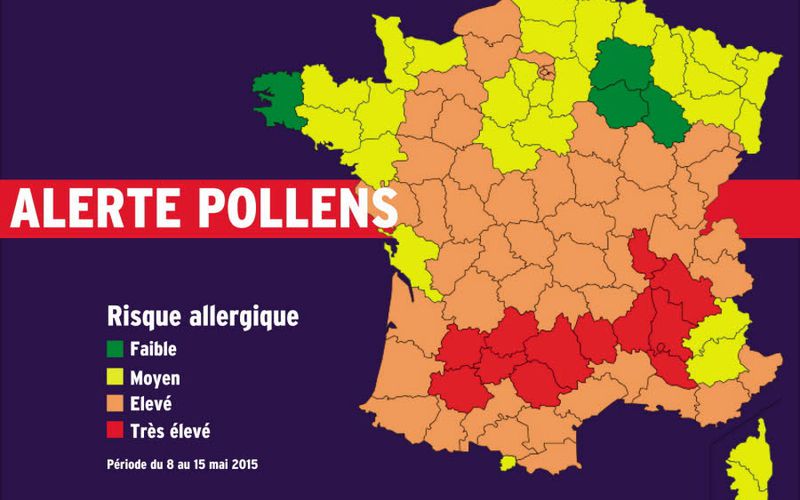Alerte aux pollens: quelles sont les régions touchées? 