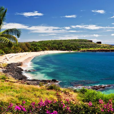 Lanai, l'île la plus surprenante d'Hawaii?