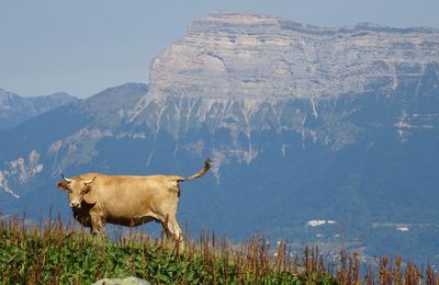 Massif de Belledonne