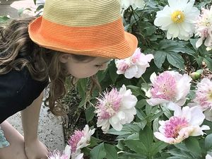 pivoines episode 3