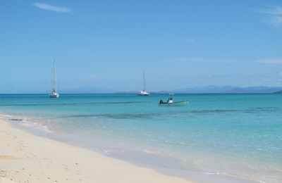 ILOT TENIA | Au Sud-Ouest