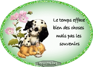 Gifs Souvenirs Le Blog De Lemondedesgifs Over Blog Com